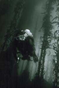 South Monastery, Carmel